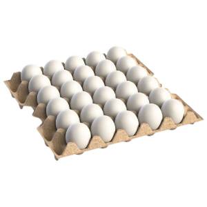 Imagen de HUEVOS BLANCO MAPLE