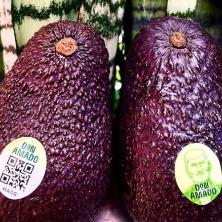 Imagen de PALTA PREMIUM UNIDAD