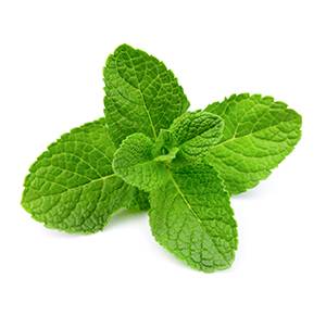 Imagen de MENTA PAQUETE