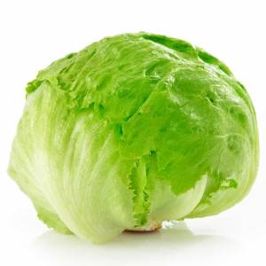 Imagen de LECHUGA REPOLLADA KG